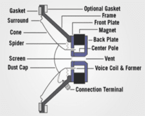 how to choose your speaker part2