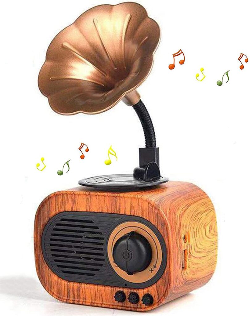 BIGJOY Retro Music Speaker