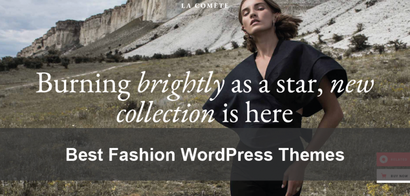 Best Fashion WordPress Themes