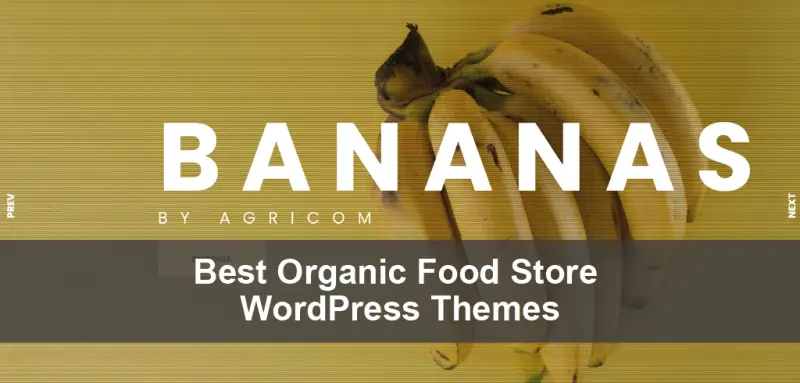 Best Organic Food Store WordPress Themes