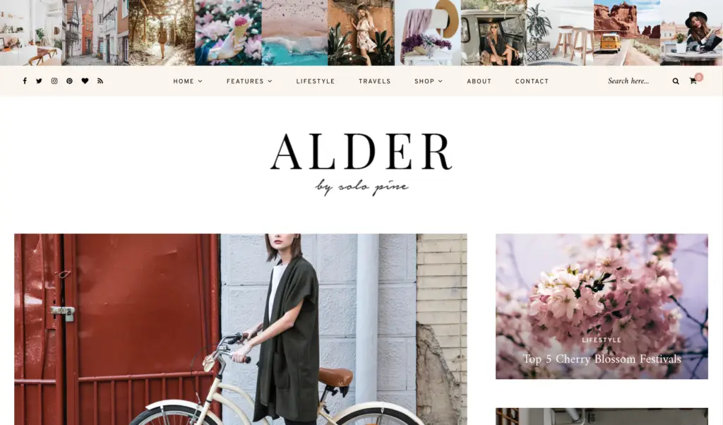 Alder – A Responsive WordPress Blog Theme