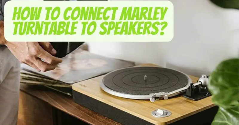 How to connect Marley turntable to speakers?