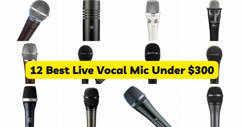 12 Best Live Vocal Mic Under $300
