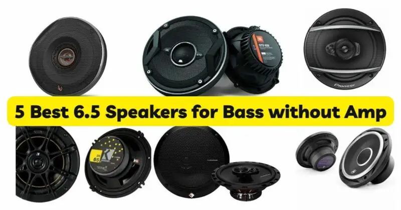5 Best 6.5 Speakers for Bass without Amp
