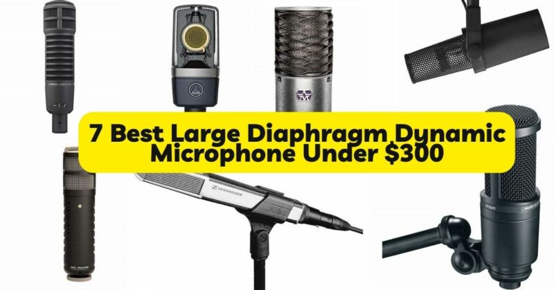 7 Best Large Diaphragm Dynamic Microphone Under $300