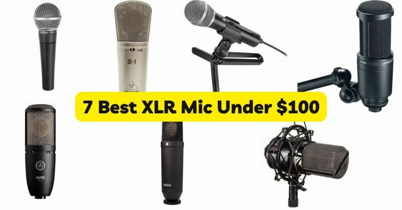 7 Best XLR Mic Under $100