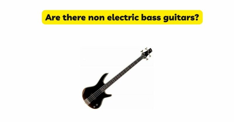 Are there non electric bass guitars?