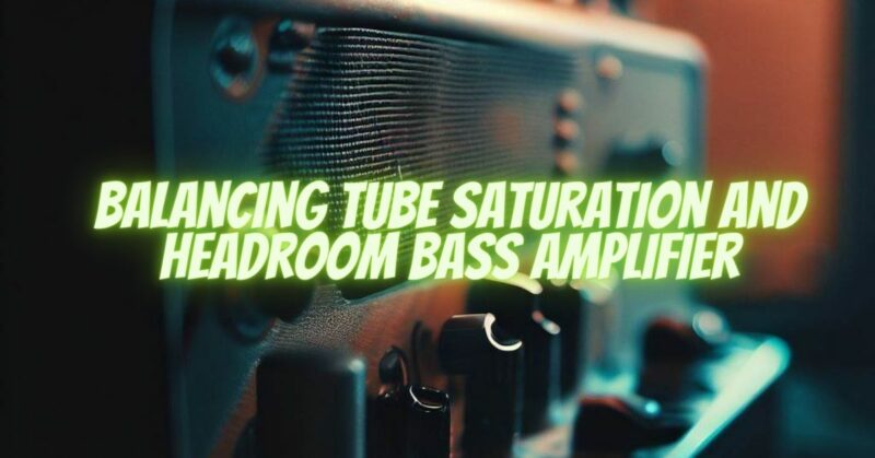 Balancing Tube Saturation and Headroom Bass Amplifier