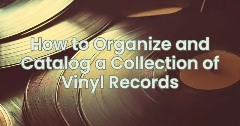 How to Organize and Catalog a Collection of Vinyl Records