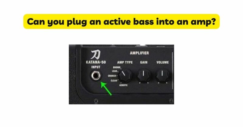 Can you plug an active bass into an amp?