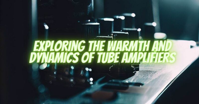Exploring the Warmth and Dynamics of Tube Amplifiers