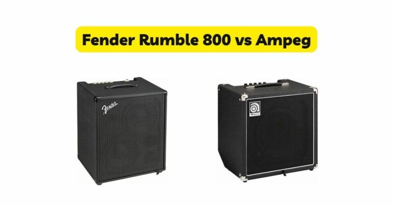 Fender Rumble 800 vs Ampeg