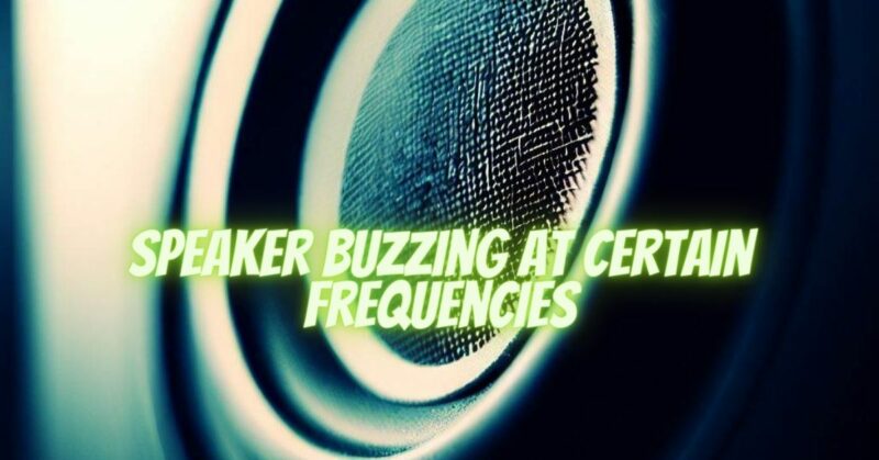 Speaker buzzing at certain frequencies