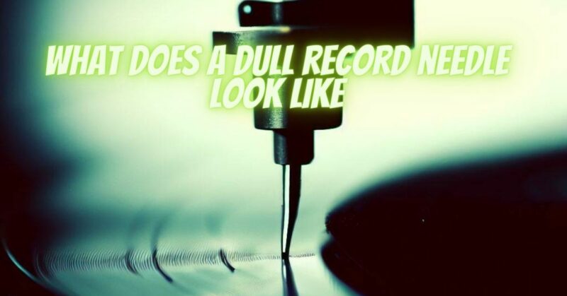 What does a dull record needle look like