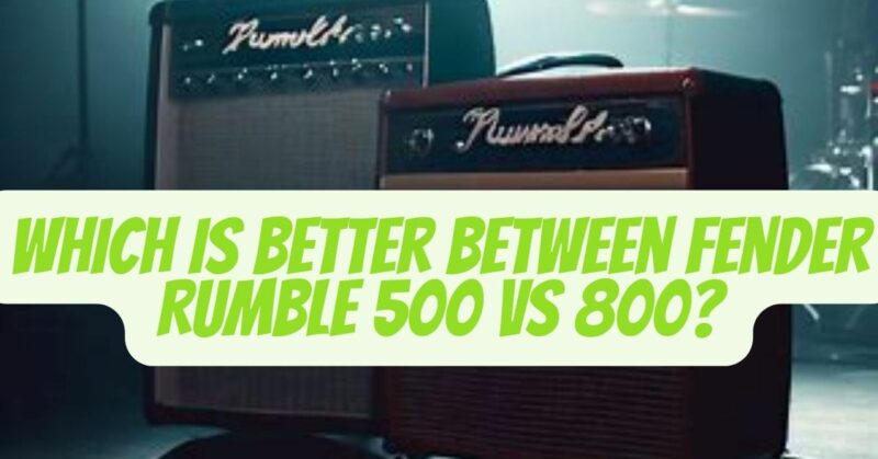 fender rumble 500 vs 800