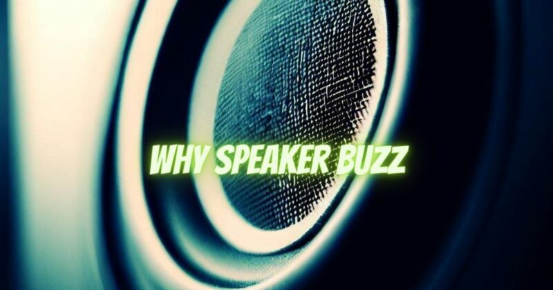 why speaker buzz