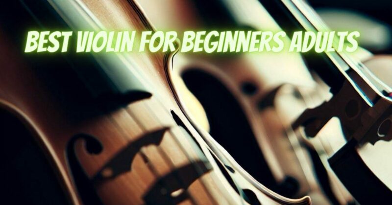 Best violin for beginners adults