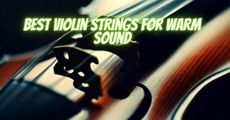 Best violin strings for warm sound