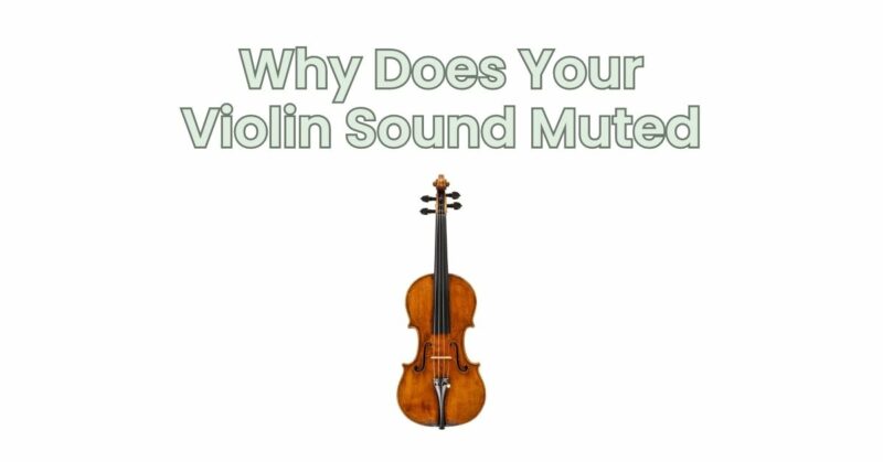 Why Does Your Violin Sound Muted
