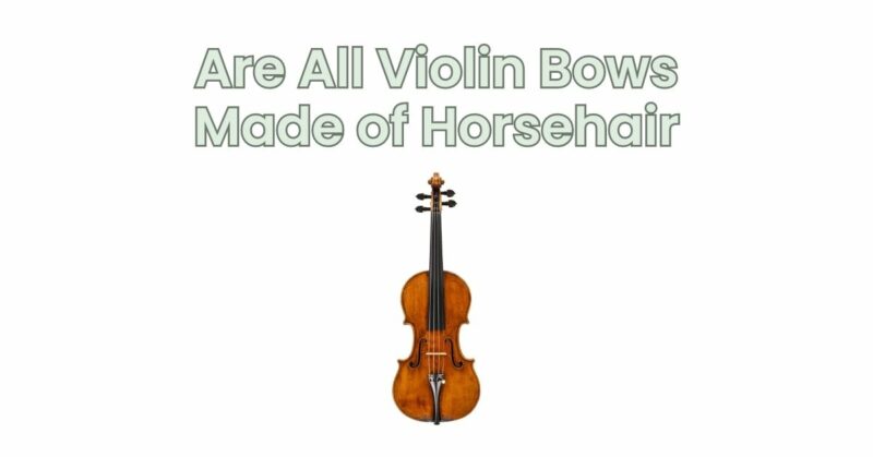 Are All Violin Bows Made of Horsehair