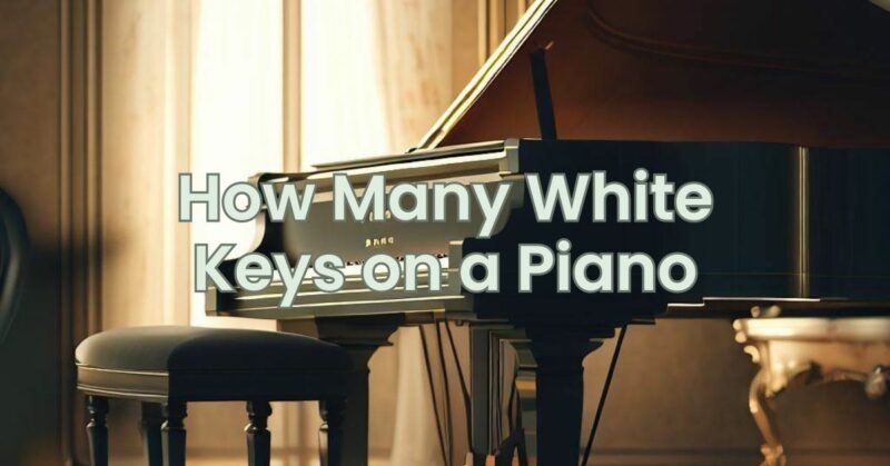 How Many White Keys on a Piano