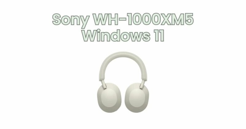 Sony WH-1000XM5 Windows 11