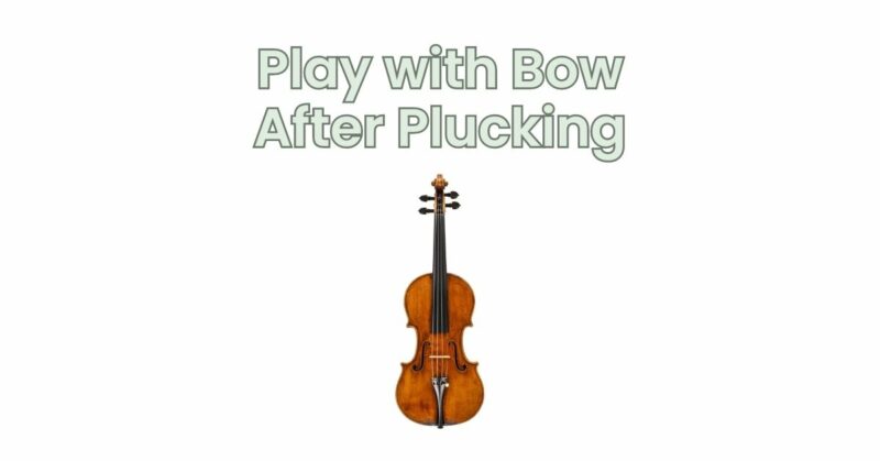 Play with Bow After Plucking