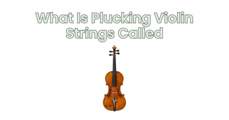 What Is Plucking Violin Strings Called