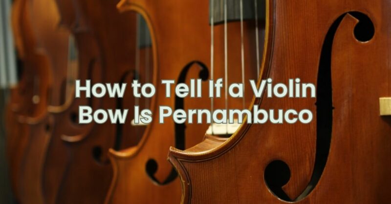 How to Tell If a Violin Bow Is Pernambuco