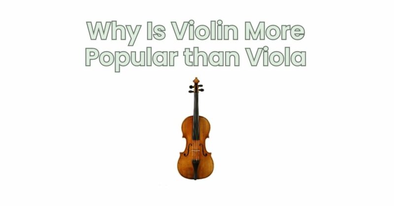 Why Is Violin More Popular than Viola