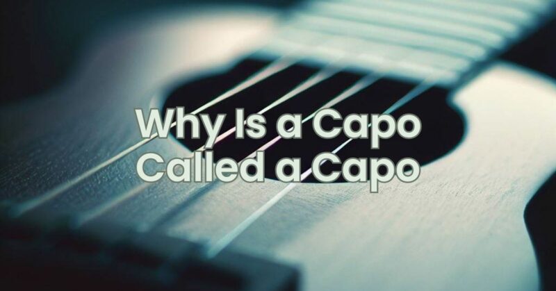 Why Is a Capo Called a Capo