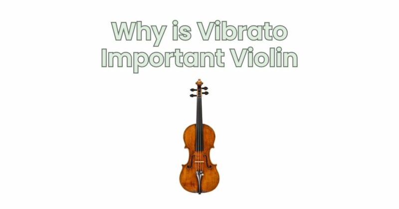 Why is Vibrato Important Violin