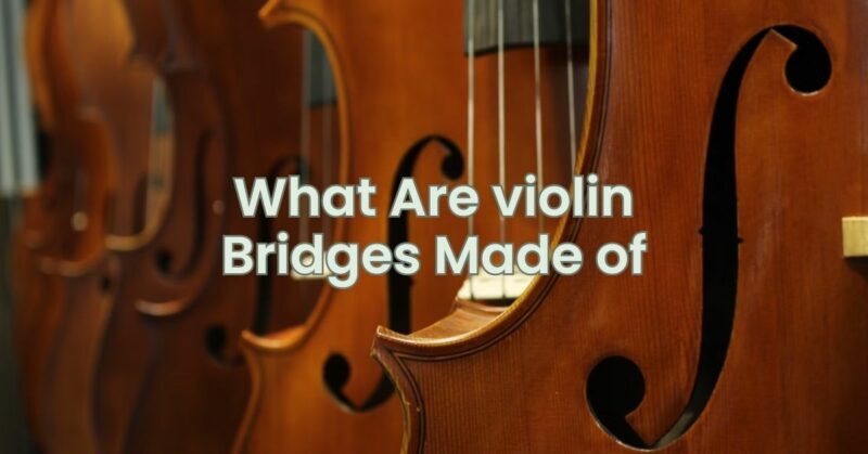 What Are violin Bridges Made of
