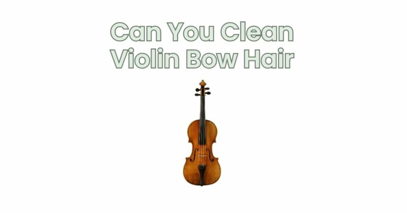 Can You Clean Violin Bow Hair