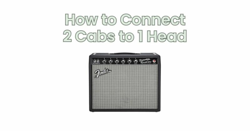 How to Connect 2 Cabs to 1 Head