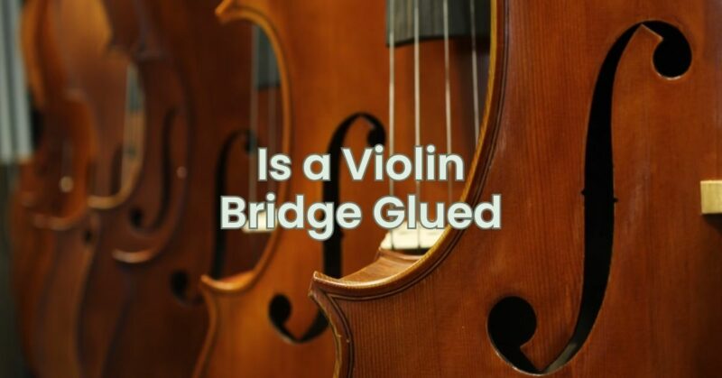 Is a Violin Bridge Glued
