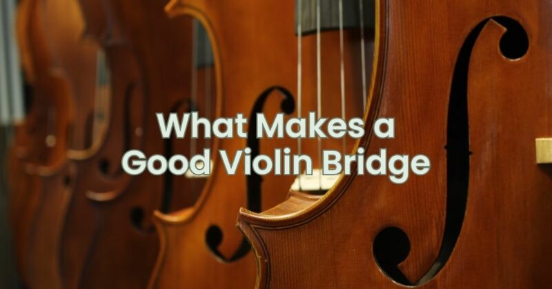 What Makes a Good Violin Bridge
