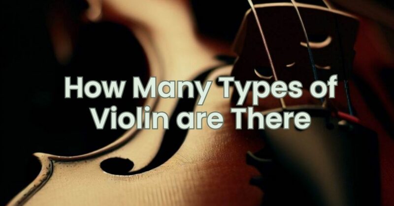 How Many Types of Violin are There