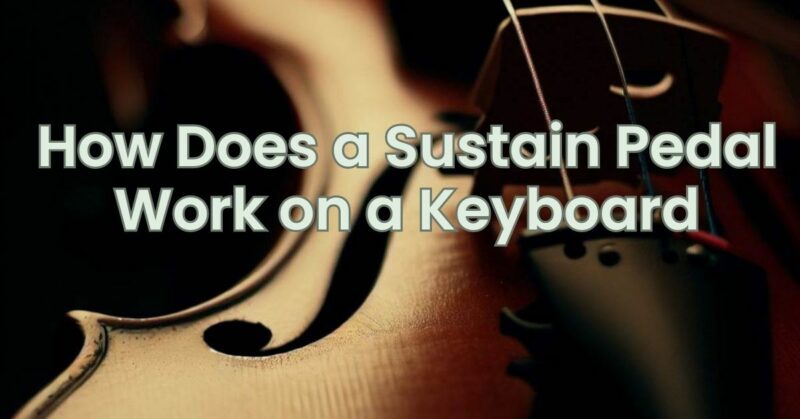 How Does a Sustain Pedal Work on a Keyboard