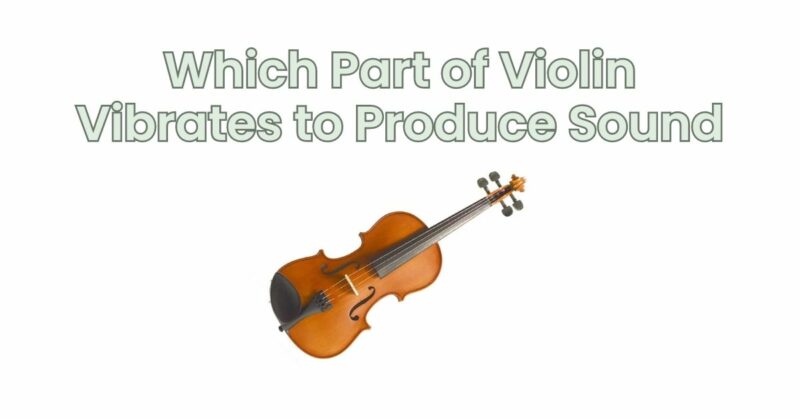 Which Part of Violin Vibrates to Produce Sound