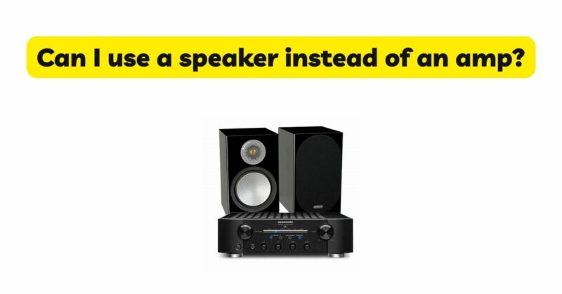 Can I use a speaker instead of an amp?