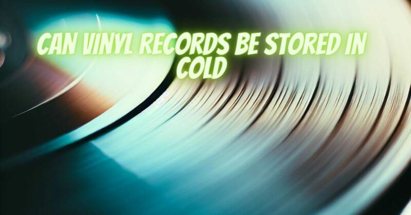 Can vinyl records be stored in cold