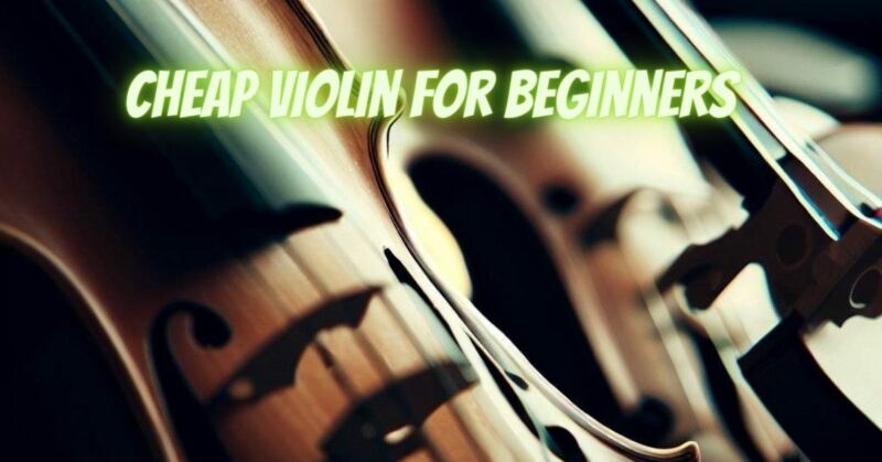 Cheap violin for beginners