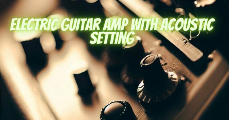 Electric guitar amp with acoustic setting