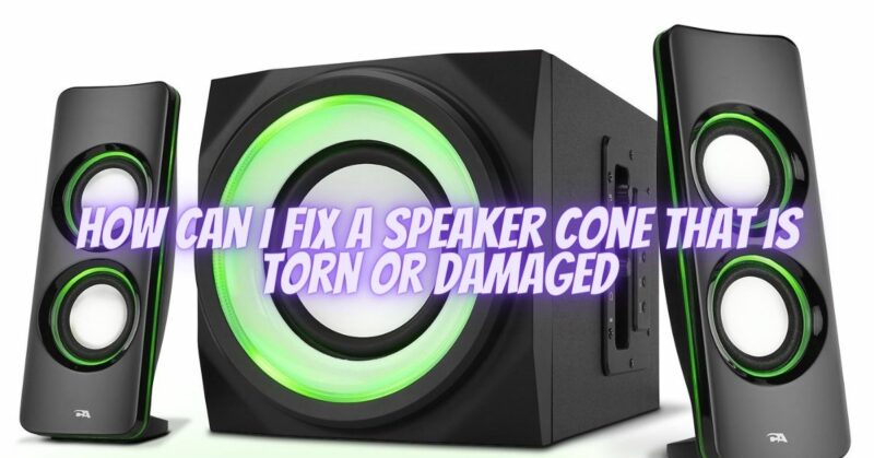 How can I fix a speaker cone that is torn or damaged
