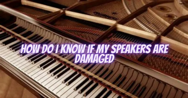 How do I know if my speakers are damaged