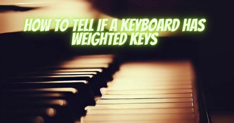 How to tell if a keyboard has weighted keys
