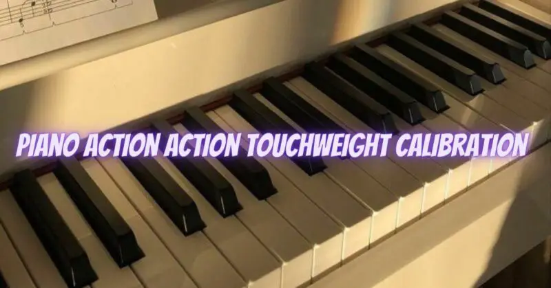 Piano action action touchweight calibration
