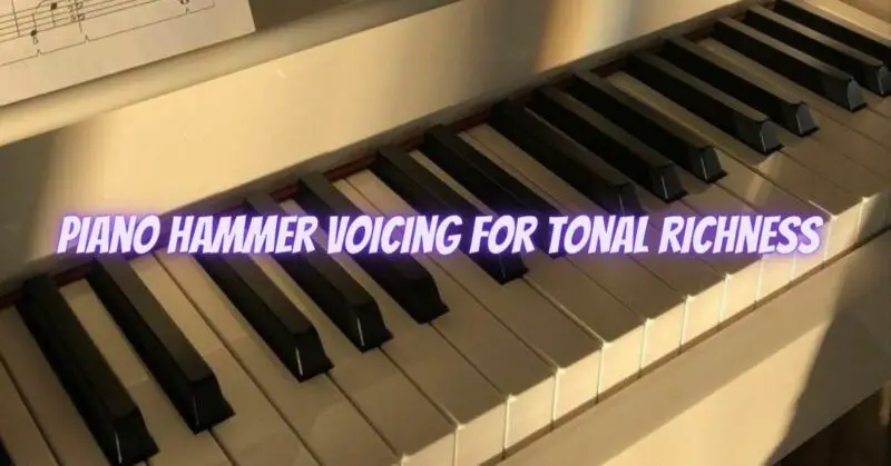 Piano hammer voicing for tonal richness