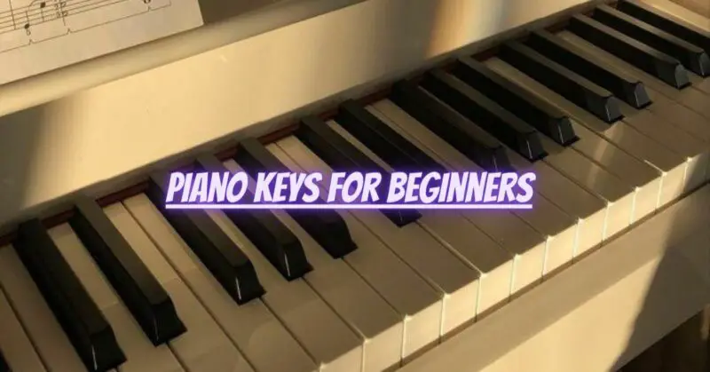 Piano keys for beginners